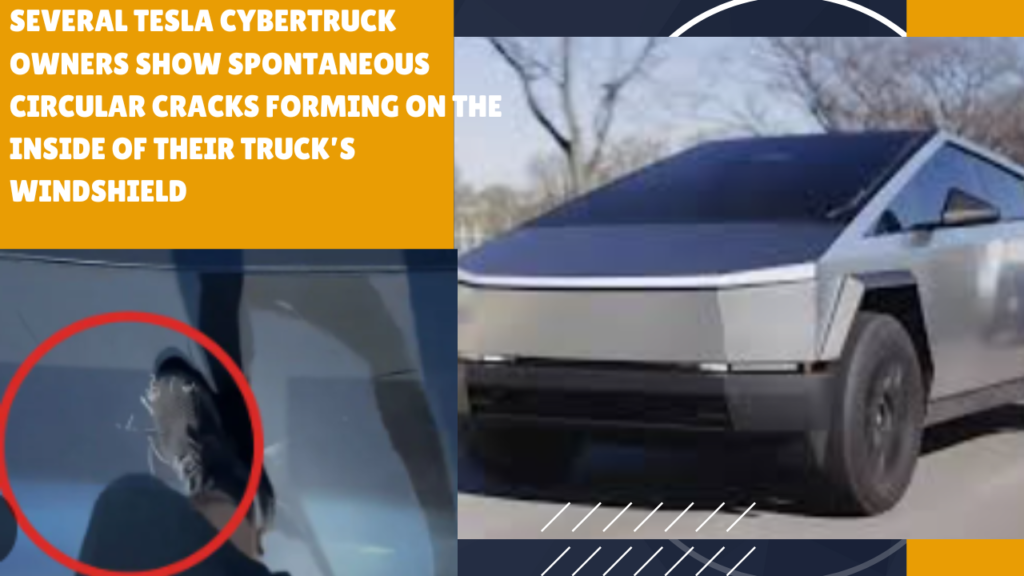 Tesla Cybertruck Owners